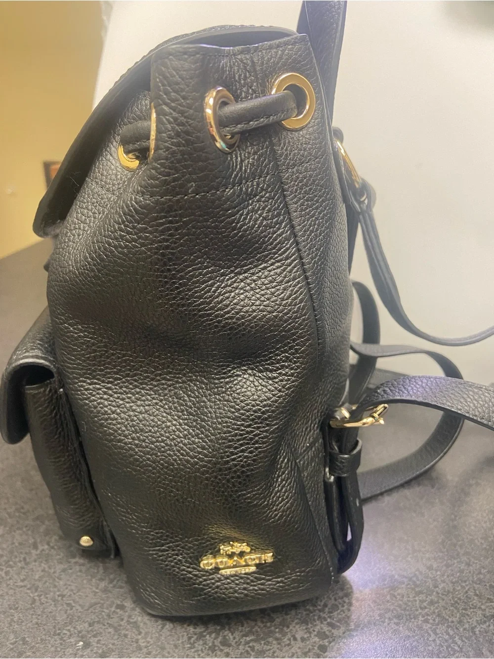 Coach Black Pebbled Leather Mini Backpack with Gold Hardware Accents